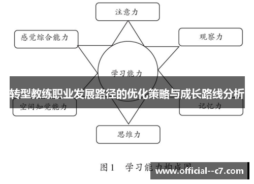 转型教练职业发展路径的优化策略与成长路线分析
